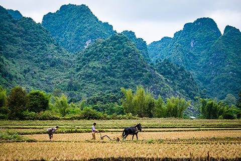 《中華人民共和國(guó)農(nóng)村土